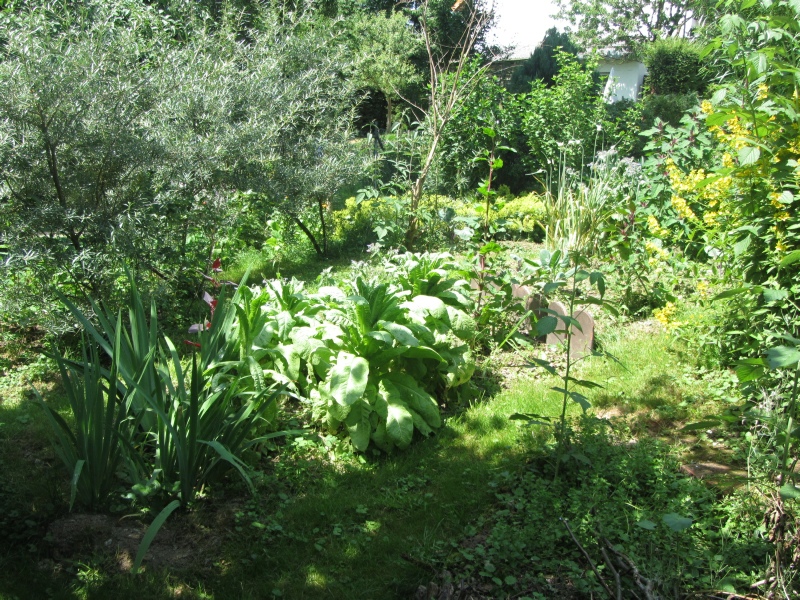 Waldgarten