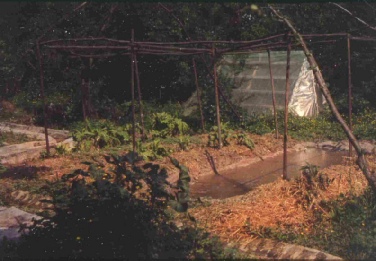 wp0c009783 05 06